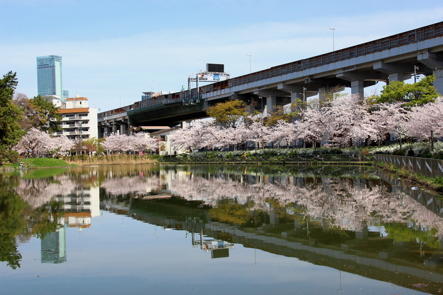桃ヶ池公園